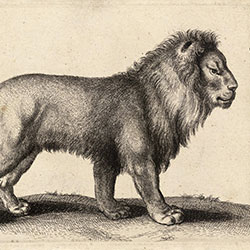 ��-ԭ��(chu��ng)���Ʊڮ� CG-NDC5028