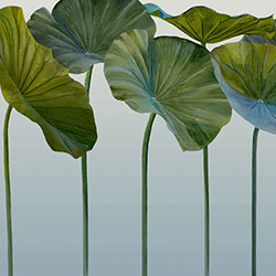 ���-ԭ�����Ʊڮ� CG-NDC5141