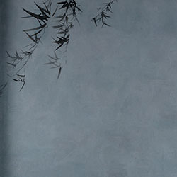 ī��-ԭ�����Ʊڮ� CG-NDC5158