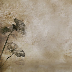 ������-ԭ��(chu��ng)���Ʊڮ� CG-NDC5169