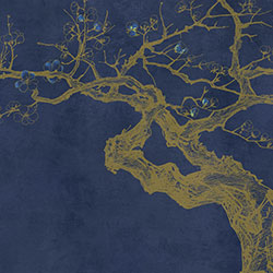 ÷��-ԭ��(chu��ng)���Ʊڮ� CG-NDC5200