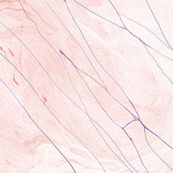 ����-ԭ�����Ʊڮ� CG-NDC5007