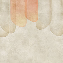 ��ʯ-ԭ�����Ʊڮ� CG-NDC5014