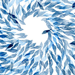 ��Ғ-ԭ�����Ʊڮ� CG-NDC5032