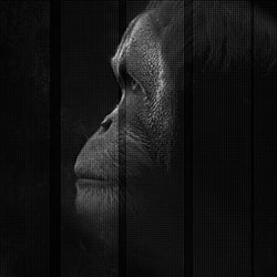 �P��-ԭ�����Ʊڮ� CG-NDC5040