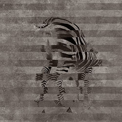 ���R-ԭ�����Ʊڮ� CG-NDC5183