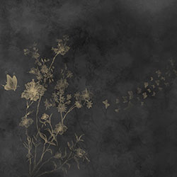 ��-ԭ��(chu��ng)���Ʊڮ� CG-NDC5208