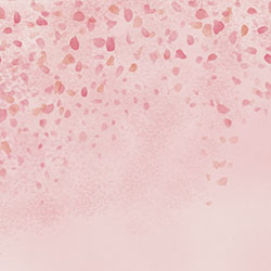 �仨-ԭ��(chu��ng)���Ʊڮ� CG-NDC5260