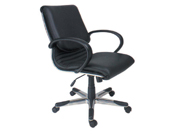 ���y(t��ng)��Ƥ�а���