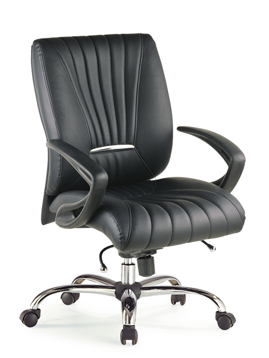 �k����|�F����Ƥ�а���|�k���Ҿ�|�F����Ƥ�а��� CG-EF0323H-Z