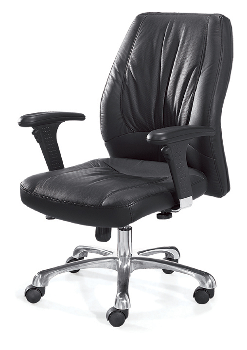 �k����|�F����Ƥ�а���|�k���Ҿ�|�F����Ƥ�а��� CG-EF0339HL-Z