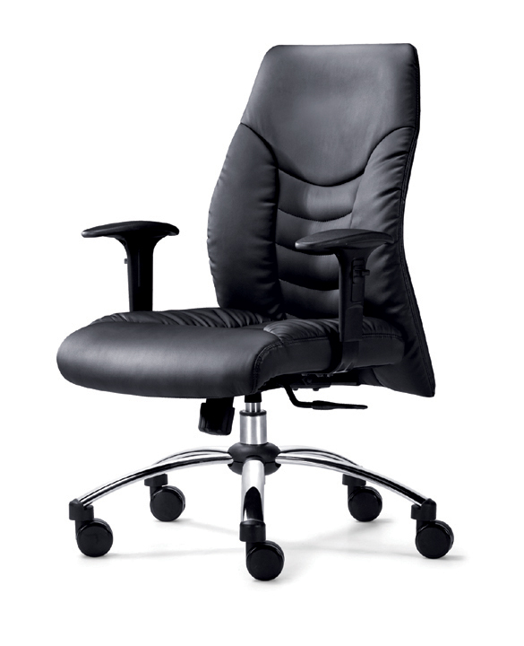 �k����|�F����Ƥ�а���|�k���Ҿ�|�F����Ƥ�а��� CG-EF0363MAL-Z