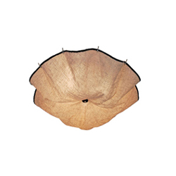 FLOS Celestia Ceiling Lamp ����㲼ˇ��픟� CG-X697